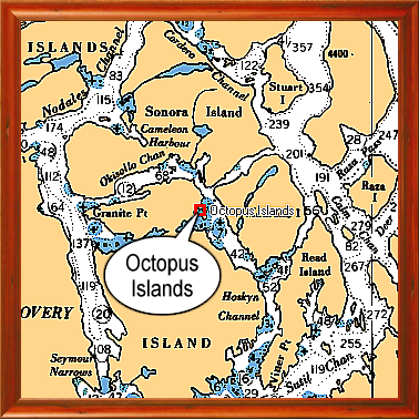 Octopus Islands